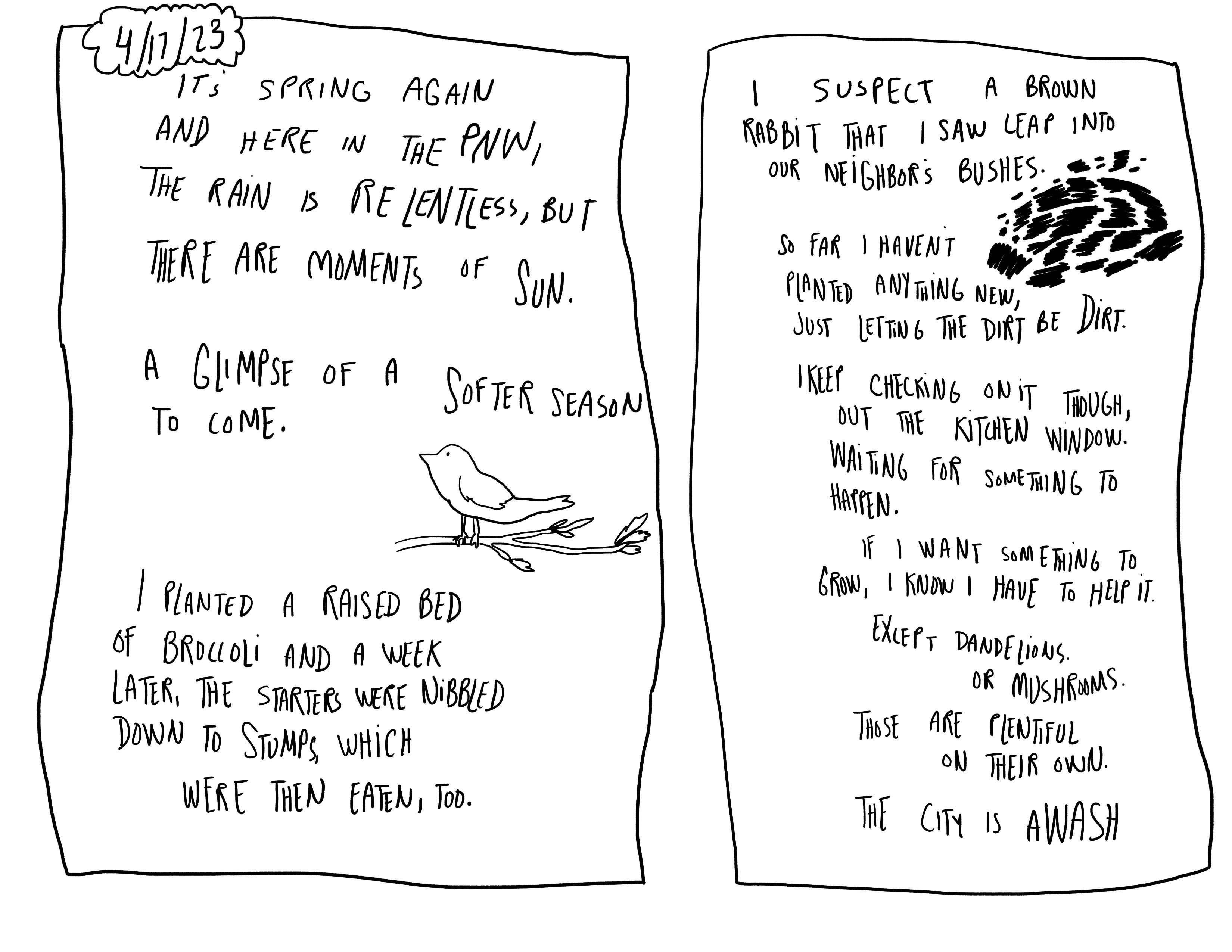 a comic featuring a drawing of a bird and the following text: It's spring again and here in the PNW, the rain is relentless, but there are moments of sun. A glimpse of a softer season to come. I planted a raised bed of broccoli and a week later, the starters were nibbled down to stumps, which were then eaten too. I suspect a brown rabbit that I saw leap into our neighbor's bushes. So far I haven't planted anything new, just letting the dirt be dirt. I keep checking on it though, out the kitchen window. Waiting for something to happen. If I want something to grow, I know I have to help it. Except dandelions. Or mushrooms. Those are plentiful on their own. The city is awash
